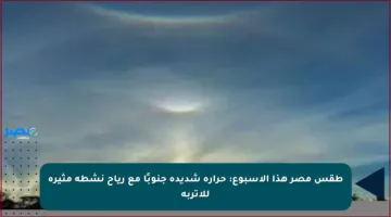 طقس مصر هذا الأسبوع: حرارة شديدة جنوبًا مع رياح نشطة مثيرة للأتربة